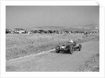 Alta single-seater with racing body at the Bugatti Owners Club Lewes Speed Trials, Sussex, 1937 by Bill Brunell