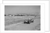 Alta single-seater with racing body at the Bugatti Owners Club Lewes Speed Trials, Sussex, 1937 by Bill Brunell