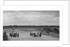 Two MGs racing at Brooklands, Surrey, c1930s by Bill Brunell