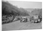 Riley open 4-seater tourer at the JCC Half-Day Trial, Ranmore Common, Dorking, Surrey, 1930 by Bill Brunell