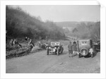 Riley open 4-seater tourer at the JCC Half-Day Trial, Ranmore Common, Dorking, Surrey, 1930 by Bill Brunell
