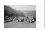 Riley open 4-seater tourer at the JCC Half-Day Trial, Ranmore Common, Dorking, Surrey, 1930 by Bill Brunell