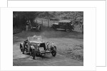Aston Martin open sports competing in the JCC Half-Day Trial, 1930 by Bill Brunell