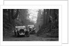SD Marr's Tracta open sports and R Peaty's Singer open 4-seater at the JCC Half-Day Trial, 1930 by Bill Brunell