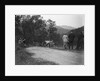 Jowett open 2-seater of M Johnstone competing in the Scottish Light Car Trial, 1922 by Bill Brunell