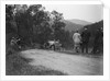 Jowett open 2-seater of M Johnstone competing in the Scottish Light Car Trial, 1922 by Bill Brunell