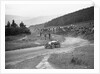 Aston Martin Bunny of Frank B Halford competing in the Caerphilly Hillclimb, Wales, 1923 by Bill Brunell