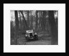 Alvis 12/50 at the Standard Car Owners Club Southern Counties Trial, Hale Wood, Chilterns, 1938 by Bill Brunell