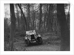 Alvis 12/50 at the Standard Car Owners Club Southern Counties Trial, Hale Wood, Chilterns, 1938 by Bill Brunell