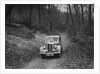 Standard Twelve competing in the Standard Car Owners Club Southern Counties Trial, 1938 by Bill Brunell