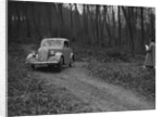 Standard Nine of J Buckman at the Standard Car Owners Club Southern Counties Trial, 1938 by Bill Brunell