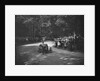 Works Austin 7 of Arthur Waite competing in the MAC Shelsley Walsh Hillclimb, Worcestershire, 1923 by Bill Brunell