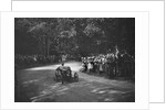 Works Austin 7 of Arthur Waite competing in the MAC Shelsley Walsh Hillclimb, Worcestershire, 1923 by Bill Brunell
