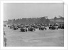 Race at the JCC Members Day, Brooklands, 1936 by Bill Brunell