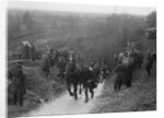 Horse towing a car up Ibberton Hill, Dorset, MCC Exeter Trial, 1930 by Bill Brunell