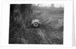 MG M Type of RR Balding competing in the MG Car Club Trial, Kimble Lane, Chilterns, 1931 by Bill Brunell