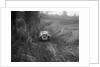 MG M Type of RR Balding competing in the MG Car Club Trial, Kimble Lane, Chilterns, 1931 by Bill Brunell