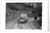MG M Type 12/12 replica of Viscount Curzon, MG Car Club Trial, Waterworks Hill, Tring, 1931 by Bill Brunell