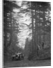 Lea-Francis Hyper 2-seater competing in the JCC Half-Day Trial, Hurtwood Hill, Surrey, 1930 by Bill Brunell