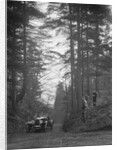 Lea-Francis Hyper 2-seater competing in the JCC Half-Day Trial, Hurtwood Hill, Surrey, 1930 by Bill Brunell