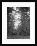 Lea-Francis Hyper 2-seater competing in the JCC Half-Day Trial, Hurtwood Hill, Surrey, 1930 by Bill Brunell