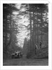 Lea-Francis Hyper 2-seater competing in the JCC Half-Day Trial, Hurtwood Hill, Surrey, 1930 by Bill Brunell