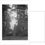 Lea-Francis Hyper 2-seater competing in the JCC Half-Day Trial, Hurtwood Hill, Surrey, 1930 by Bill Brunell