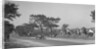 Bugatti Type 37 near St Martin, Boulogne Motor Week, France, 1928 by Bill Brunell