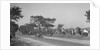 Bugatti Type 37 near St Martin, Boulogne Motor Week, France, 1928 by Bill Brunell
