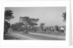 Bugatti Type 37 near St Martin, Boulogne Motor Week, France, 1928 by Bill Brunell
