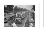 Cars before the start of the Irish Grand Prix, Phoenix Park, Dublin, 1930 by Bill Brunell