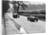 Riley 9 Brooklands of E Maclure and Bugatti Type 43 of JF Field, RAC TT, Ards Circuit, Belfast, 1929 by Bill Brunell