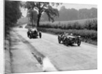 Riley 9 Brooklands of E Maclure and Bugatti Type 43 of JF Field, RAC TT, Ards Circuit, Belfast, 1929 by Bill Brunell
