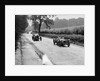 Riley 9 Brooklands of E Maclure and Bugatti Type 43 of JF Field, RAC TT, Ards Circuit, Belfast, 1929 by Bill Brunell