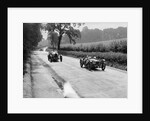 Riley 9 Brooklands of E Maclure and Bugatti Type 43 of JF Field, RAC TT, Ards Circuit, Belfast, 1929 by Bill Brunell