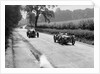 Riley 9 Brooklands of E Maclure and Bugatti Type 43 of JF Field, RAC TT, Ards Circuit, Belfast, 1929 by Bill Brunell