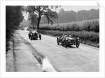 Riley 9 Brooklands of E Maclure and Bugatti Type 43 of JF Field, RAC TT, Ards Circuit, Belfast, 1929 by Bill Brunell