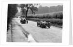 Riley 9 Brooklands of E Maclure and Bugatti Type 43 of JF Field, RAC TT, Ards Circuit, Belfast, 1929 by Bill Brunell