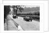 Riley 9 Brooklands of E Maclure and Bugatti Type 43 of JF Field, RAC TT, Ards Circuit, Belfast, 1929 by Bill Brunell