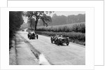 Riley 9 Brooklands of E Maclure and Bugatti Type 43 of JF Field, RAC TT, Ards Circuit, Belfast, 1929 by Bill Brunell
