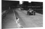 Austin Ulsters of SV Holbrook and Archie Frazer-Nash, RAC TT Race, Ards Circuit, Belfast, 1929 by Bill Brunell