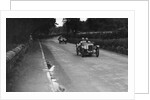Austin Ulsters of SV Holbrook and Archie Frazer-Nash, RAC TT Race, Ards Circuit, Belfast, 1929 by Bill Brunell