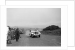 Frazer-Nash BMW 319 of D Impanni competing in the South Wales Auto Club Welsh Rally, 1937 by Bill Brunell
