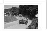 Frazer-Nash BMW 319/55 of CG Fitt competing in the VSCC Croydon Speed Trials, 1937 by Bill Brunell