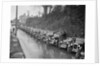 Cars parked at the MCC Lands End Trial, Launceston, Cornwall, 1930 by Bill Brunell