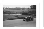 MG C type Midget of Hugh Hamilton at practice for the RAC TT Race, Ards Circuit, Belfast, 1932 by Bill Brunell