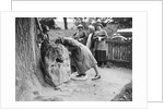 People visiting King Alfred's Blowing Stone, Kingston Lisle, near Uffington, Oxfordshire, c1920s by Bill Brunell