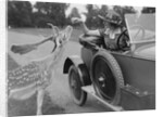 Woman in a BSA car feeding a deer in Richmond Park, Surrey, c1920s by Bill Brunell