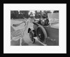 Woman in a BSA car feeding a deer in Richmond Park, Surrey, c1920s by Bill Brunell