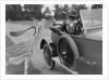 Woman in a BSA car feeding a deer in Richmond Park, Surrey, c1920s by Bill Brunell